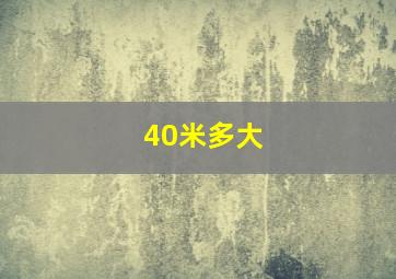 40米多大