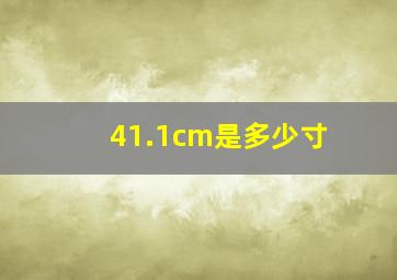 41.1cm是多少寸