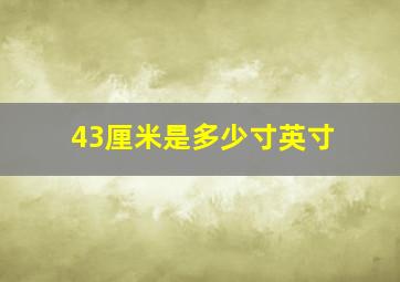 43厘米是多少寸英寸