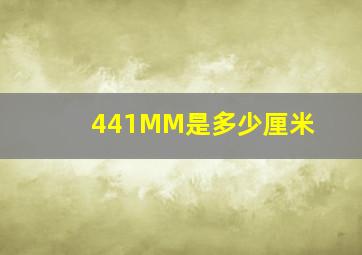 441MM是多少厘米