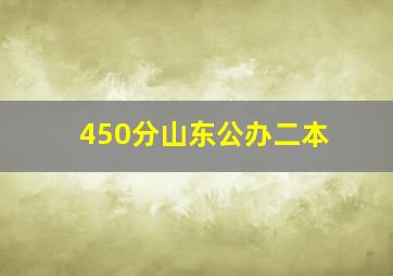 450分山东公办二本