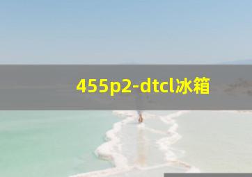 455p2-dtcl冰箱