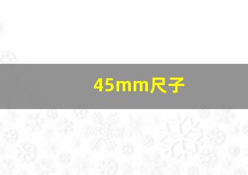 45mm尺子