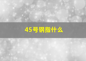 45号钢指什么