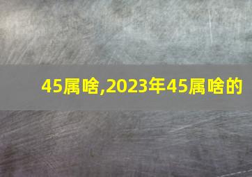 45属啥,2023年45属啥的