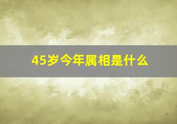 45岁今年属相是什么