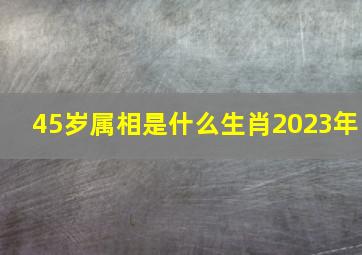 45岁属相是什么生肖2023年