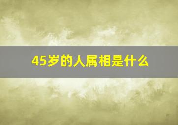 45岁的人属相是什么