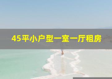 45平小户型一室一厅租房