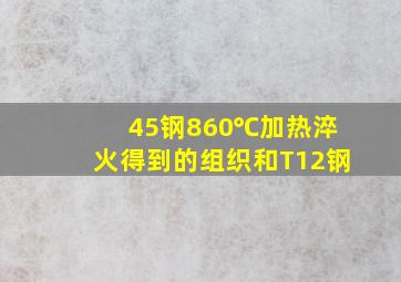 45钢860℃加热淬火得到的组织和T12钢