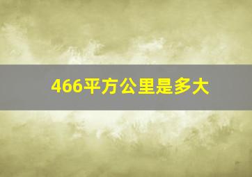 466平方公里是多大