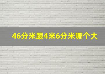 46分米跟4米6分米哪个大