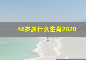 46岁属什么生肖2020