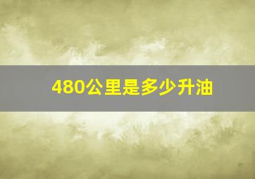 480公里是多少升油