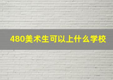 480美术生可以上什么学校