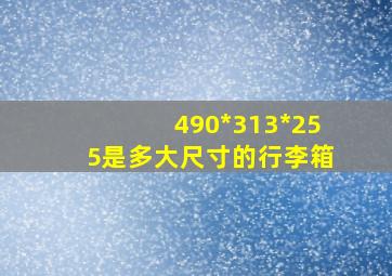 490*313*255是多大尺寸的行李箱