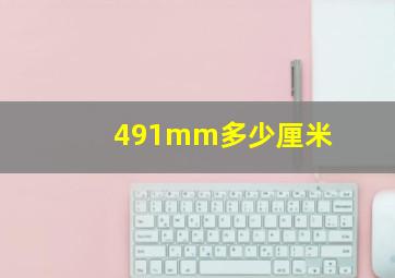 491mm多少厘米