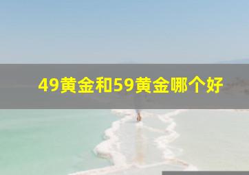 49黄金和59黄金哪个好