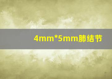 4mm*5mm肺结节