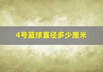 4号蓝球直径多少厘米