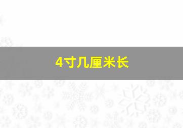 4寸几厘米长