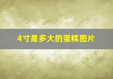 4寸是多大的蛋糕图片