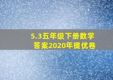 5.3五年级下册数学答案2020年提优卷