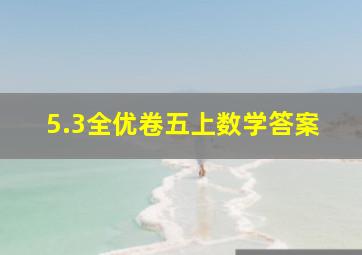 5.3全优卷五上数学答案