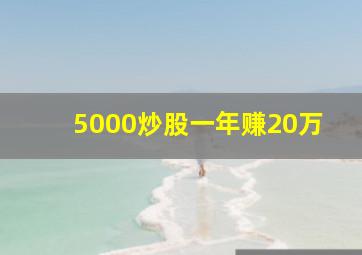 5000炒股一年赚20万