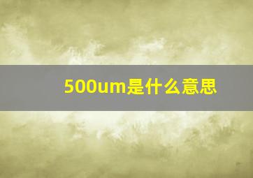 500um是什么意思