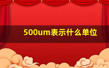 500um表示什么单位