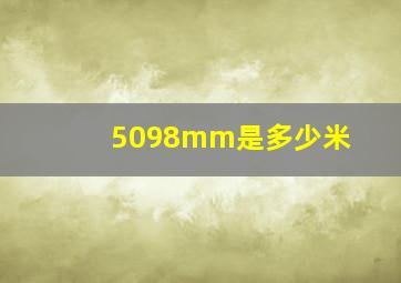 5098mm是多少米