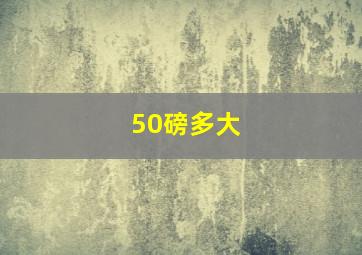 50磅多大