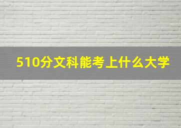 510分文科能考上什么大学