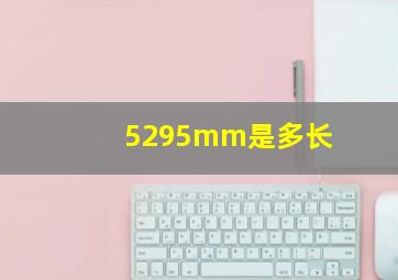 5295mm是多长