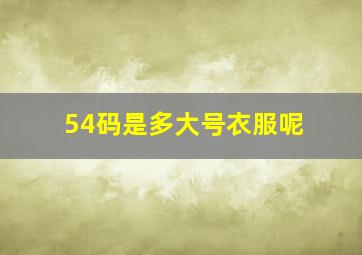 54码是多大号衣服呢