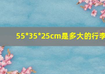 55*35*25cm是多大的行李