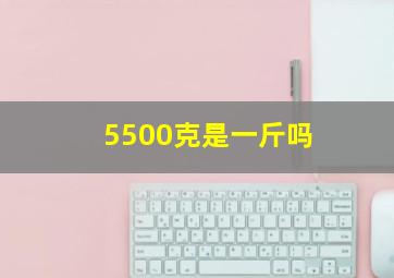 5500克是一斤吗