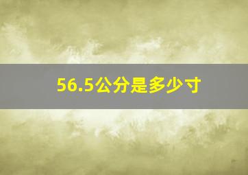 56.5公分是多少寸