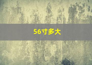 56寸多大