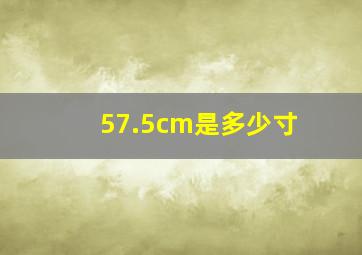 57.5cm是多少寸