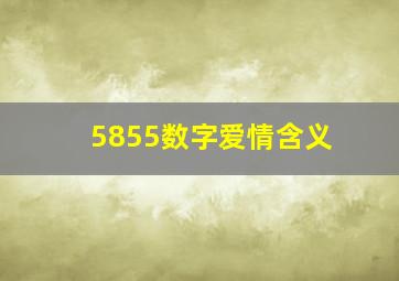 5855数字爱情含义