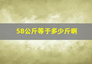 58公斤等于多少斤啊