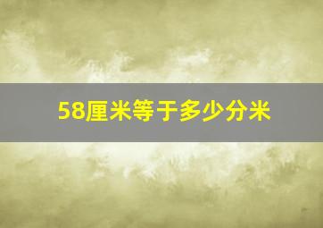 58厘米等于多少分米