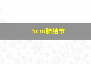 5cm肺结节