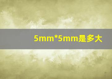 5mm*5mm是多大