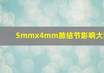 5mmx4mm肺结节影响大吗