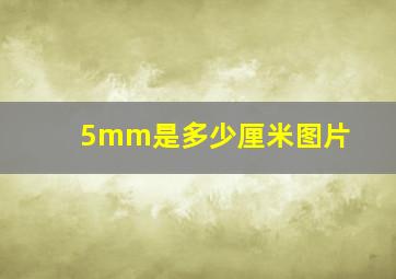 5mm是多少厘米图片