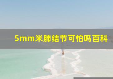 5mm米肺结节可怕吗百科