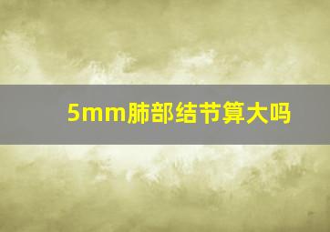 5mm肺部结节算大吗